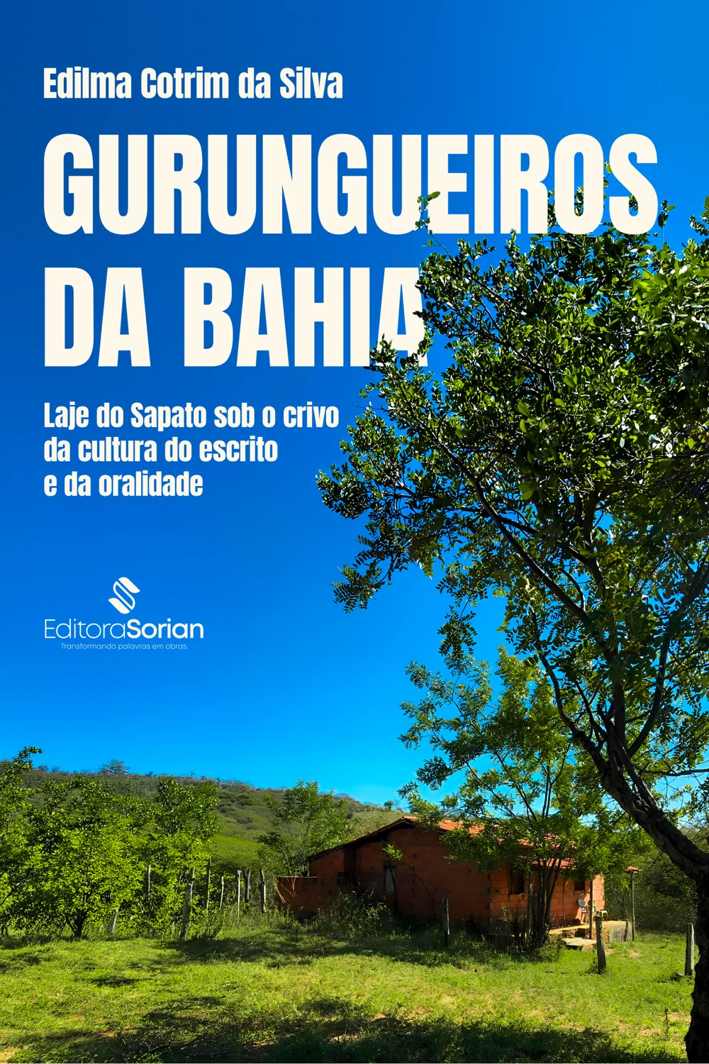 Capa do livro Gurungueiros da Bahia