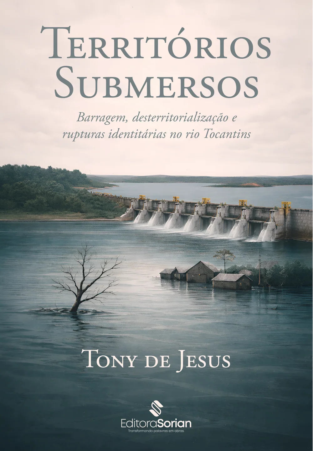 Capa do livro Territórios Submersos